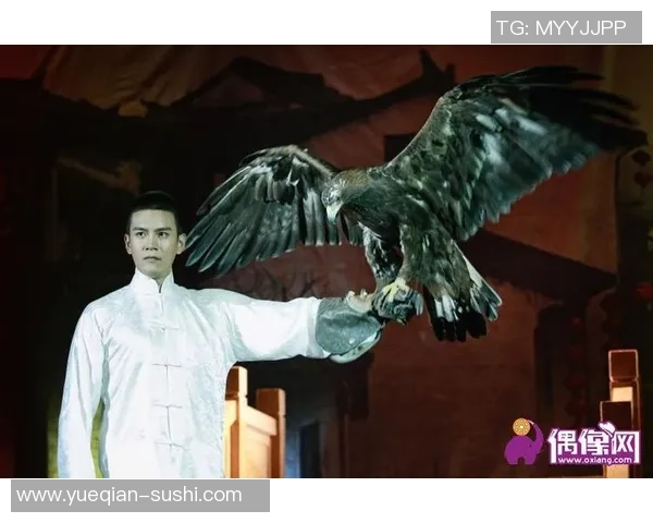 足球明星大胡子背后的传奇故事与赛场风云变幻